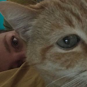 Meet your Posher, Lee